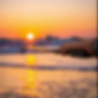 Lamiglas Surf Rod in Action at Sunset A Lamiglas surf rod in action on the beach during sunset