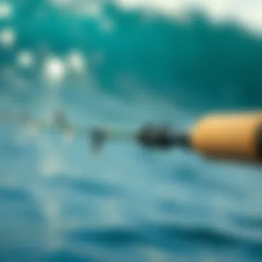 Technology Behind Lamiglas Surf Rods Infographic illustrating the technology behind Lamiglas surf rods