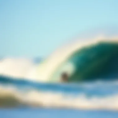 Malibu Waves: A Deep Dive into Iconic Surf Culture Summary Malibu Waves: A Deep Dive into Iconic Surf Culture Summary