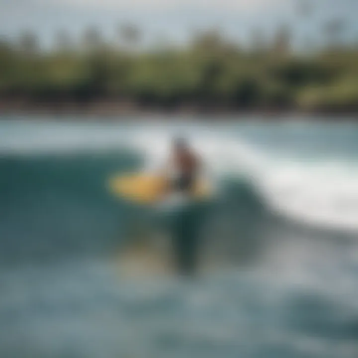 Crowd gathered at a popular beach to watch a local surf competition