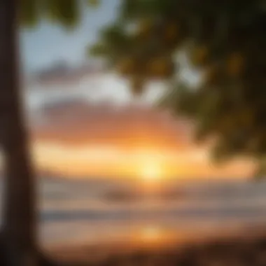 Vibrant mango fruit hanging from a tree against a tropical sunset