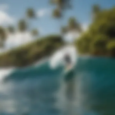 A surfer riding a wave at a Maui beach with mango trees in the background