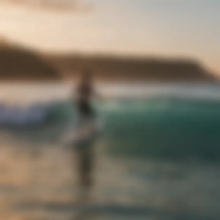 Natural ocean landscape during sunset