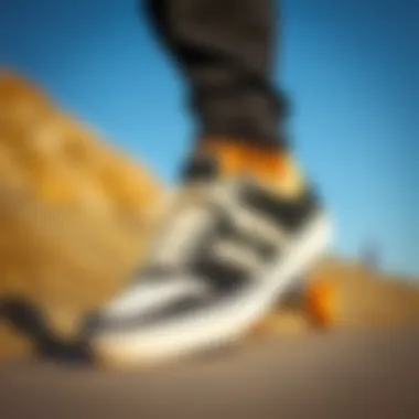 Notable Optimal Skate Shoes for Those with Flat Feet Notable Optimal Skate Shoes for Those with Flat Feet
