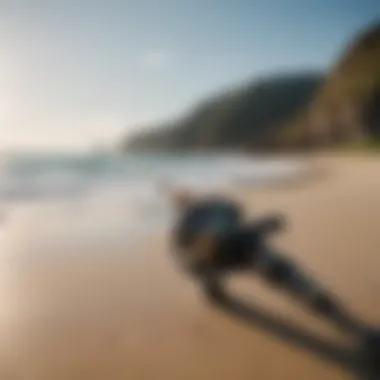 A high-quality travel surf fishing rod displayed against a scenic beach backdrop