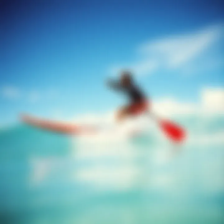 Paddle Board Basics: A Comprehensive Guide Summary