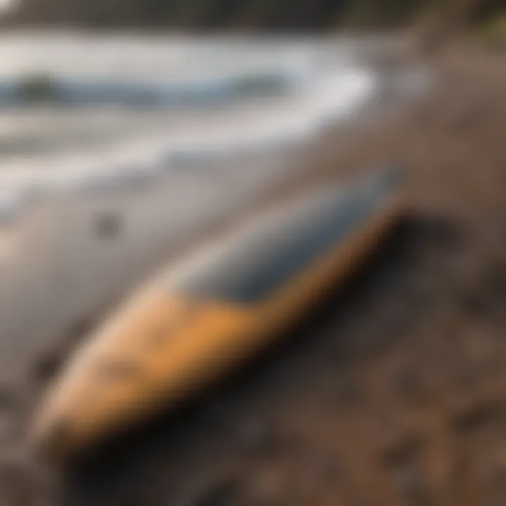 Rusty Blackbird surfboard in a scenic surfing environment