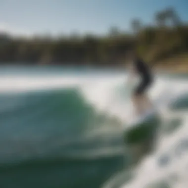 Various wakesurf board shapes