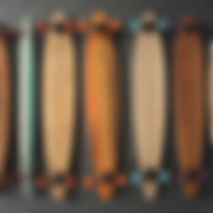 Diverse longboard shapes displayed side by side