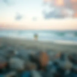 A serene beach landscape at dawn, ideal for surf fishing.