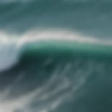 Aerial view of surfers riding waves