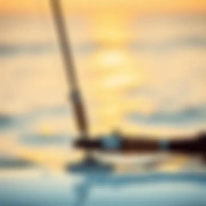 Essential Maintenance for Surf Rod Holders Maintenance tips illustrated for surf rod holders