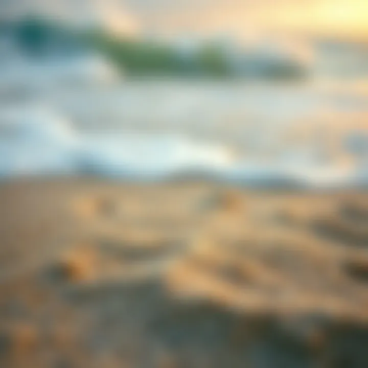 Connection of Sound and Sand Close-up of beach sand with sound waves in the background