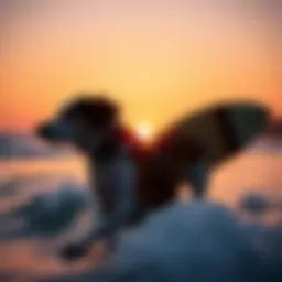 A surfer enjoying a sunset with a loyal dog by their side