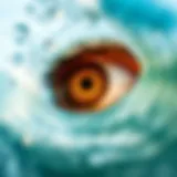 Surfer's Eye: Understanding the Aesthetic and Physiological Perspectives Introduction