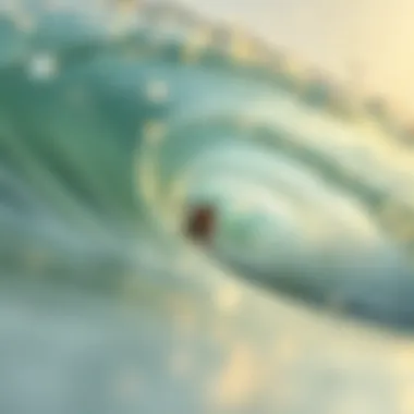 Notable Surfer's Eye: Understanding the Aesthetic and Physiological Perspectives Notable Surfer's Eye: Understanding the Aesthetic and Physiological Perspectives