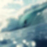 Surfing Punta Conejo: A Comprehensive Exploration Introduction