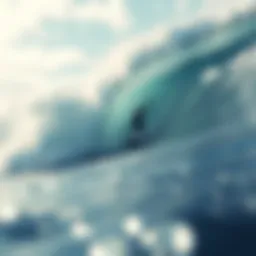 Surfing Punta Conejo: A Comprehensive Exploration Introduction