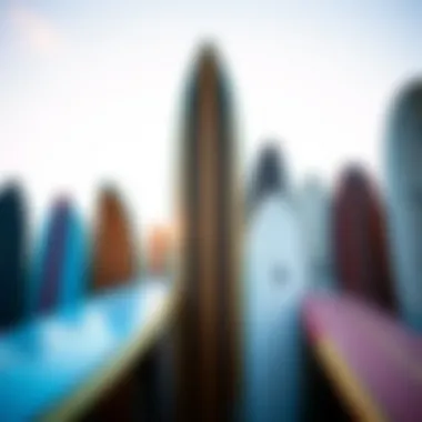 Diverse Surfboard Designs A surfboard collection showcasing different styles and designs