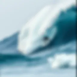 The Big Wave: An Exploration of Surfing's Most Intense Phenomenon Introduction