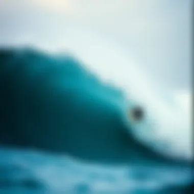 The Big Wave: An Exploration of Surfing's Most Intense Phenomenon Summary