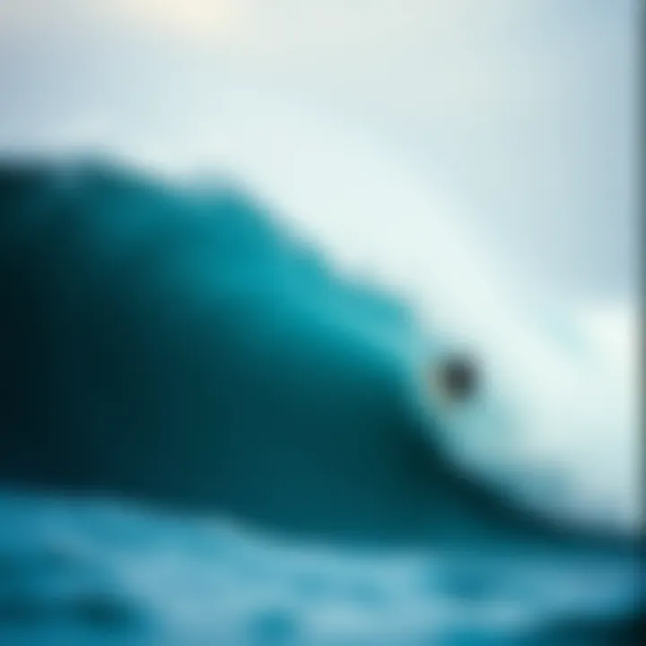 The Big Wave: An Exploration of Surfing's Most Intense Phenomenon Summary
