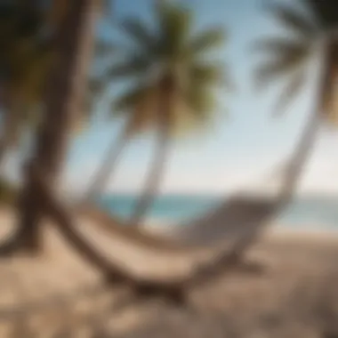 Relaxing seaside setting with a hammock between palm trees