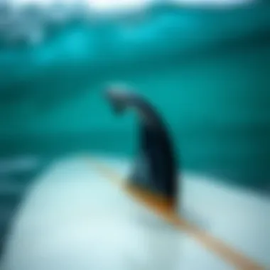 Eco-friendly materials in surfboard prop production Sustainable surfboard manufacturing materials
