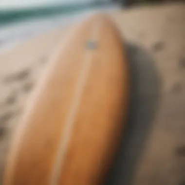 Sustainable materials used in surfboard construction