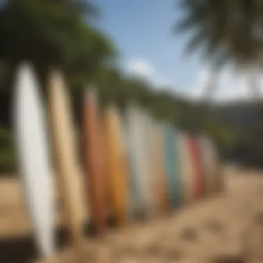 Surfboards on Hawaiian Beach Surfboards lined up on a beach, illustrating the surf culture tied to aloha