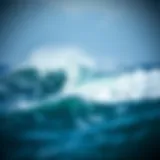 Dynamic waves influenced by prevailing winds