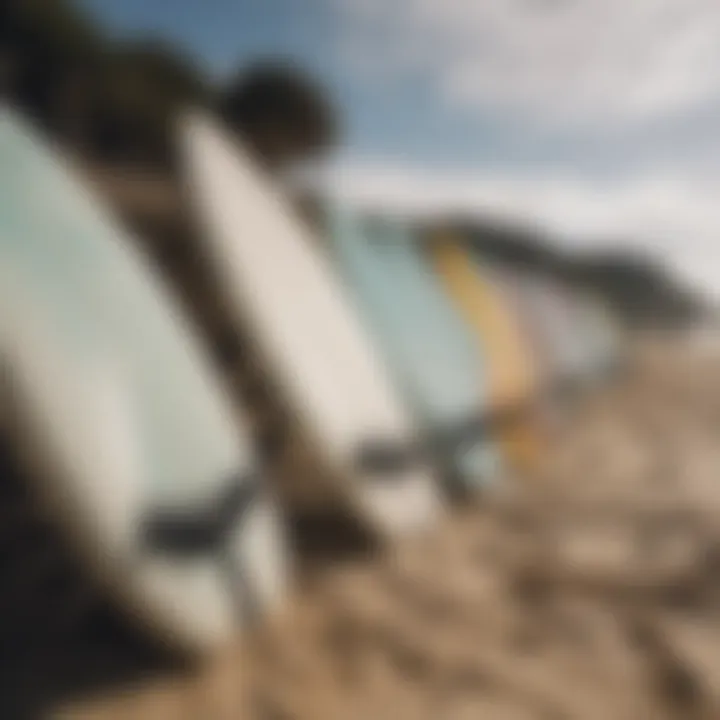 Surfboards lined up on the beach ready for action