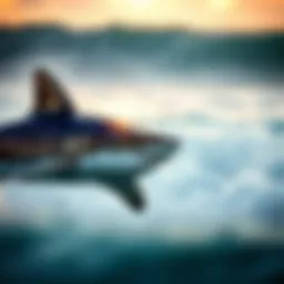 The Evolving Landscape of Shark Finders: Navigating Safety and Technology in Surfing Introduction