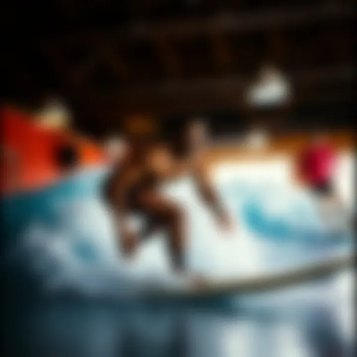 Notable The Indoor Surf Trainer: A Comprehensive Exploration