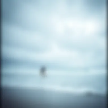 The Solitude of Surfing A tranquil beach scene with a lone surfer paddling out into the ocean