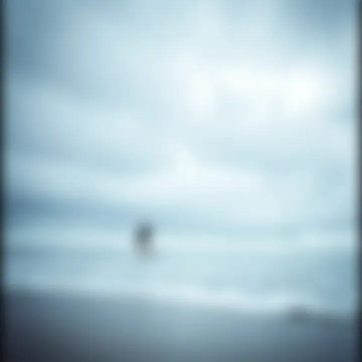 The Solitude of Surfing A tranquil beach scene with a lone surfer paddling out into the ocean