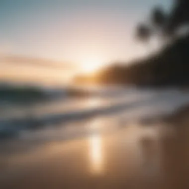 A tranquil beach at sunset with calming sounds