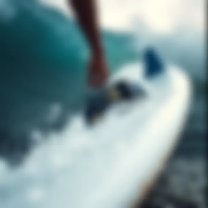 Notable The Shark Wristband: A Comprehensive Exploration