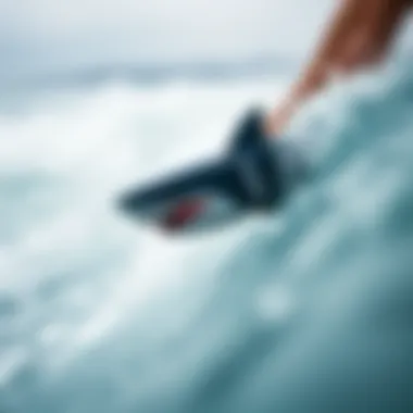 The Shark Wristband: A Comprehensive Exploration Summary The Shark Wristband: A Comprehensive Exploration Summary