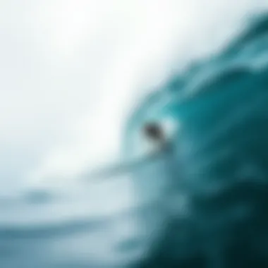 The Surfrider Movement: A Comprehensive Exploration of Its Impact on Surf Culture Introduction The Surfrider Movement: A Comprehensive Exploration of Its Impact on Surf Culture Introduction