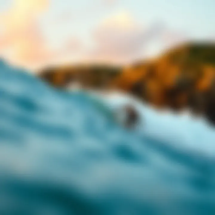 Notable The Surfrider Movement: A Comprehensive Exploration of Its Impact on Surf Culture