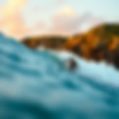 Notable The Surfrider Movement: A Comprehensive Exploration of Its Impact on Surf Culture Notable The Surfrider Movement: A Comprehensive Exploration of Its Impact on Surf Culture