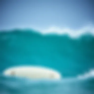 Notable The Ultimate Guide to Selecting the Best Beginner Soft Top Surfboard Notable The Ultimate Guide to Selecting the Best Beginner Soft Top Surfboard