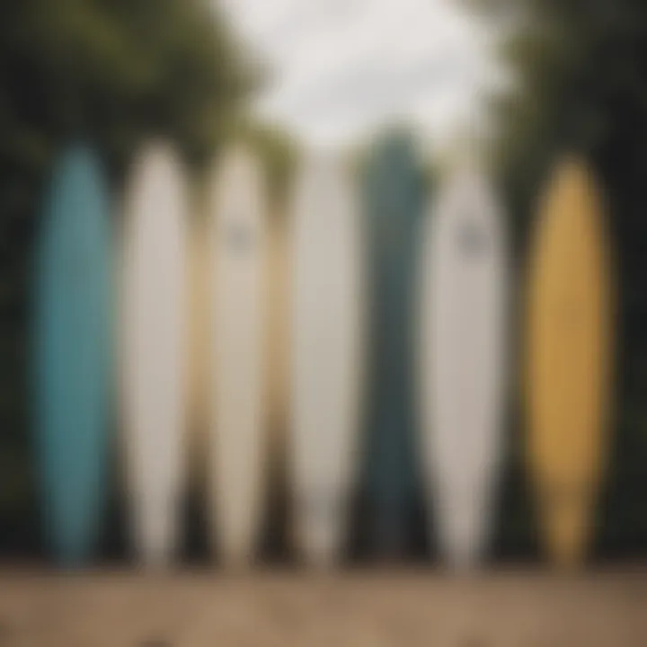 Comparison of different types of surfboards available for beginners