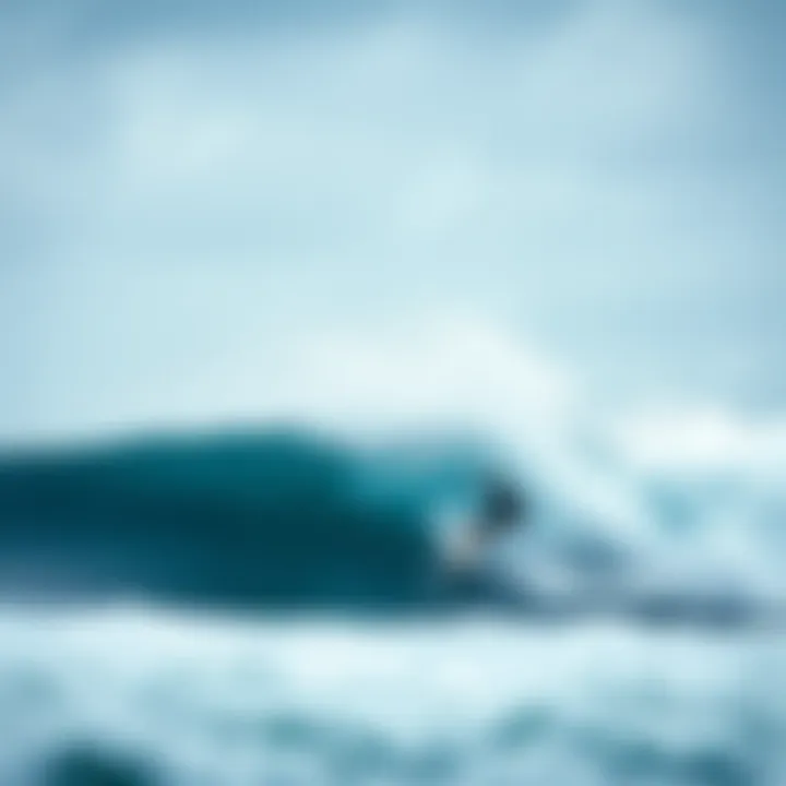 Wind Impact on Surfing Surfing conditions affected by wind