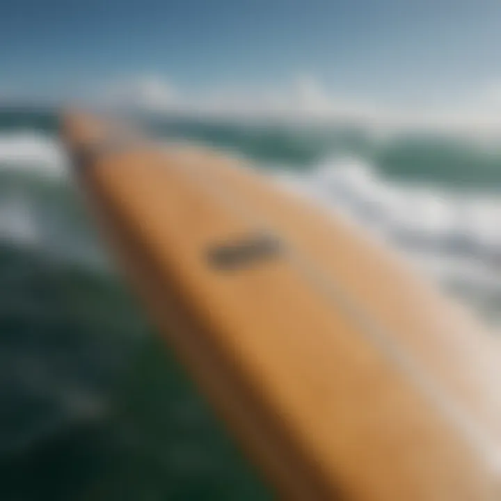 A close-up view of a longboard highlighting its smooth curves and fins