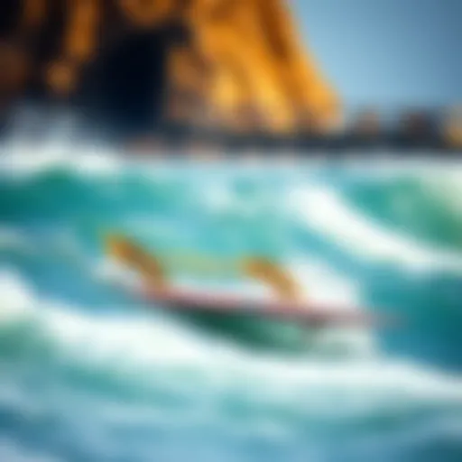 Understanding Foam Surf Racks: Functionality and Insights Introduction