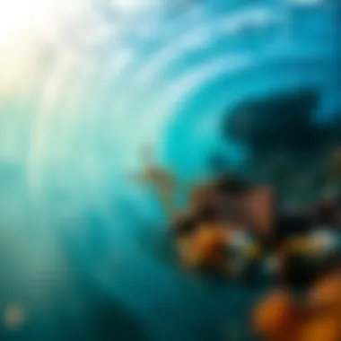 Marine ecosystem illustrating interactions between elements