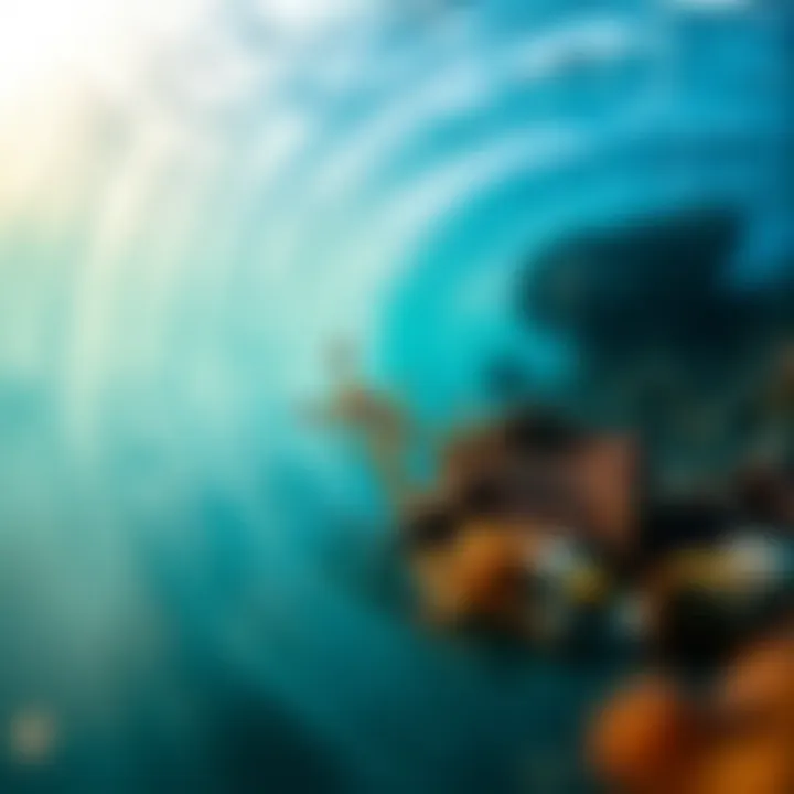 Marine ecosystem illustrating interactions between elements