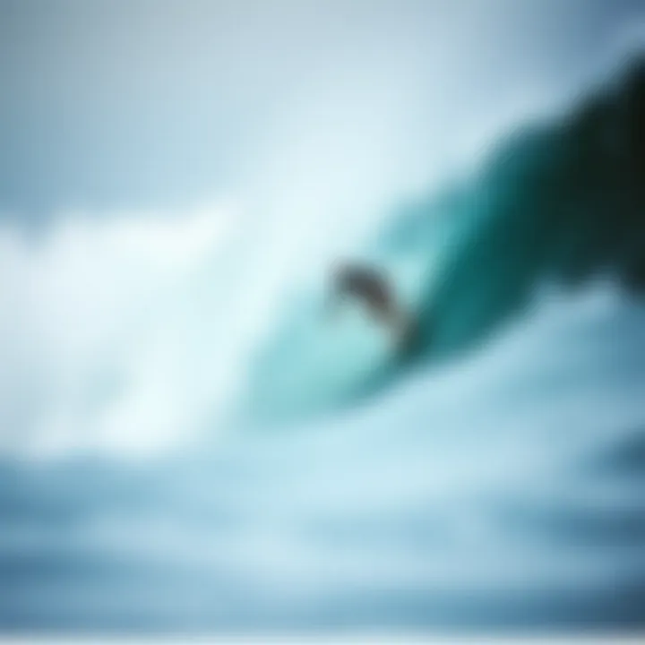 Dynamic waves influenced by salt water chemistry